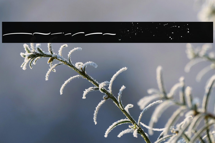 ItalianHorskeySwashDemo Example 2