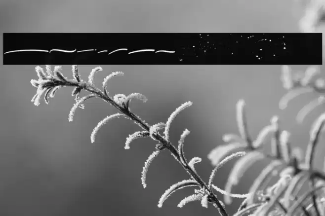 ItalianHorskeySwashDemo Font examples