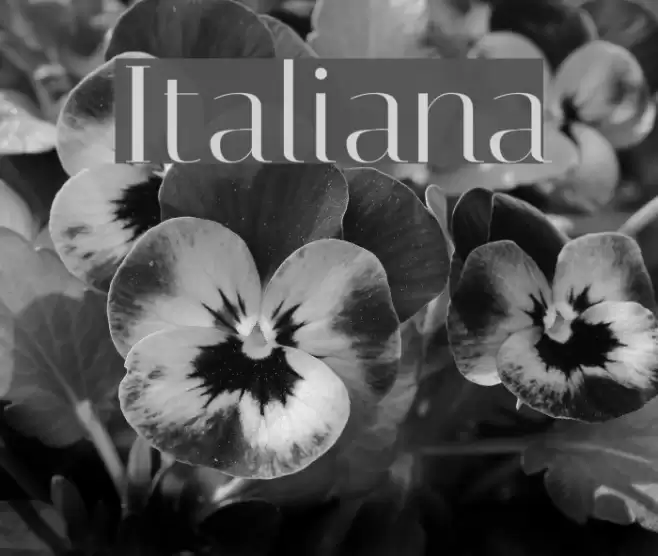 Italiana Font examples