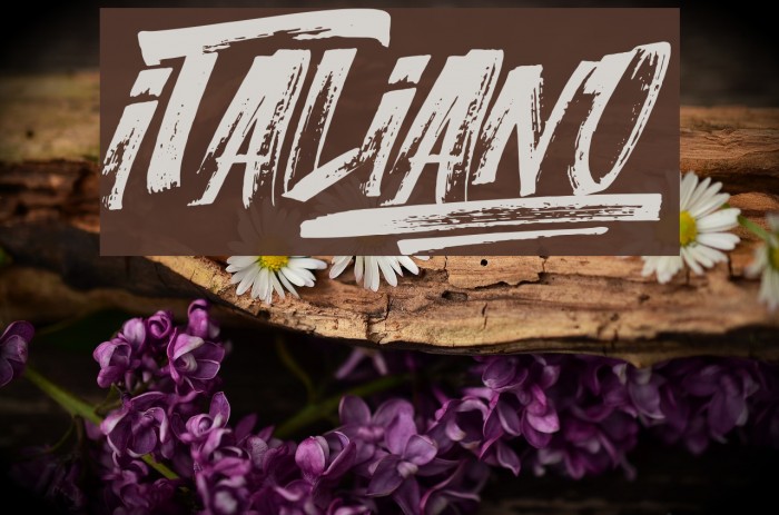 Italiano Font examples