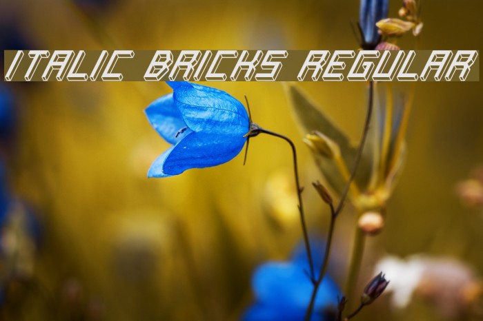 Italic Bricks Regular Example 2