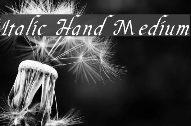 Italic Hand Medium Font examples