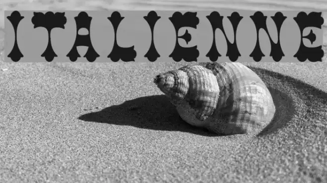 Italienne Font examples