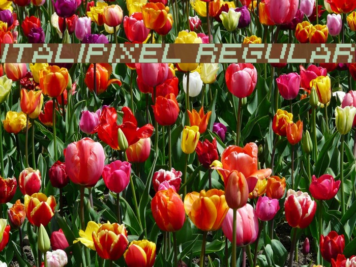 Italipixel Regular Font examples