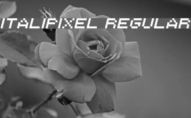 Italipixel Regular Font examples