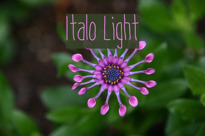 Italo Light Font examples