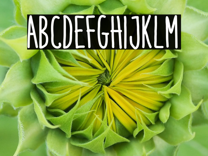 Italo Medium Example 2