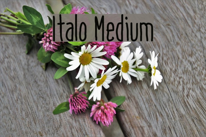 Italo Medium Font examples