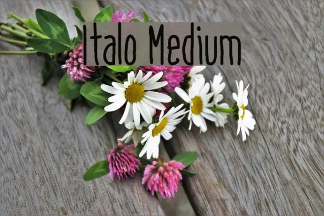 Italo Medium Example 3