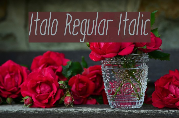 Italo Regular Italic Font examples