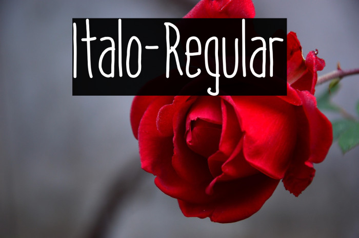 Italo-Regular Example 3