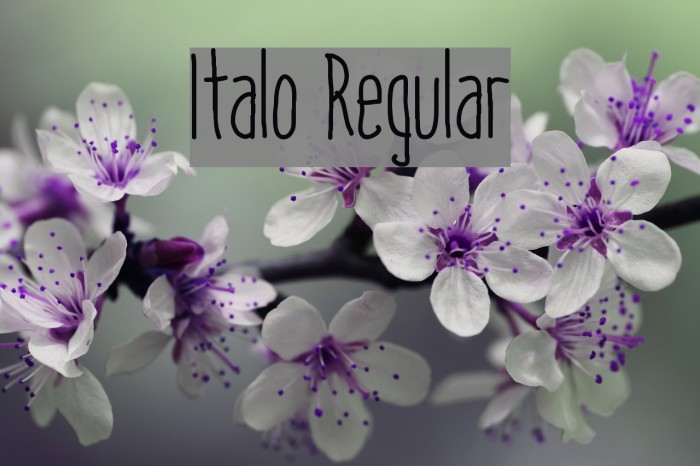 Italo Regular Font examples