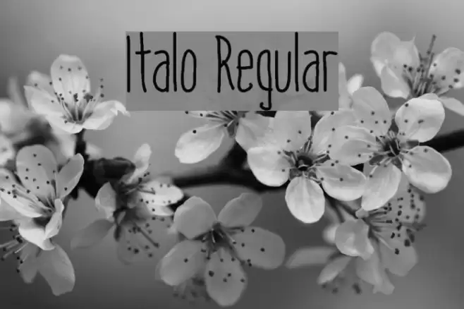 Italo Regular Schriftart examples