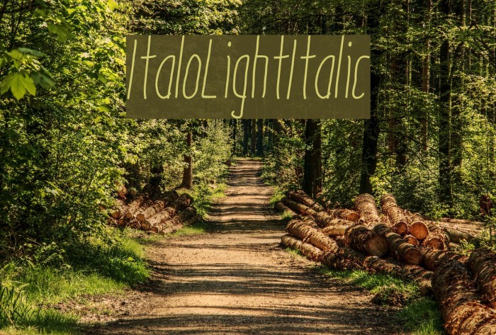 ItaloLightItalic Font examples