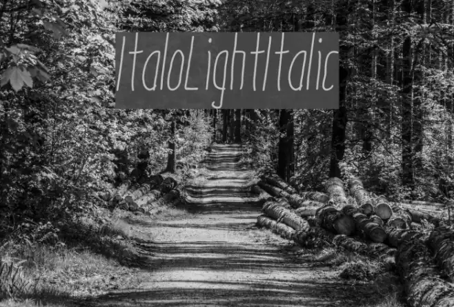 ItaloLightItalic Font examples