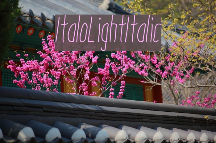 ItaloLightItalic Font examples