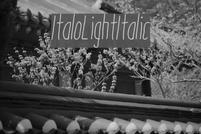 ItaloLightItalic Font examples