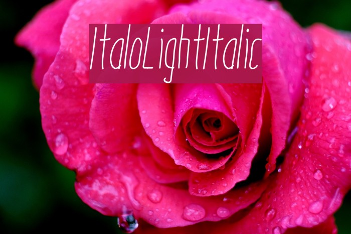 ItaloLightItalic Font examples