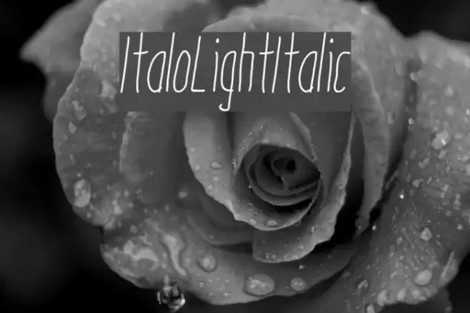 ItaloLightItalic Font examples