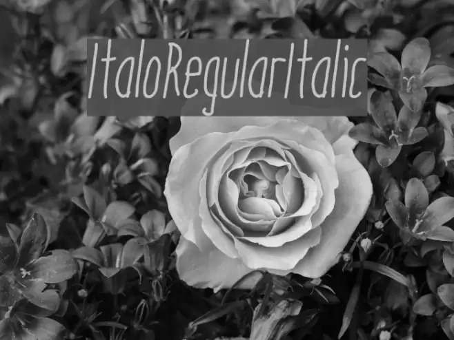 ItaloRegularItalic Font examples