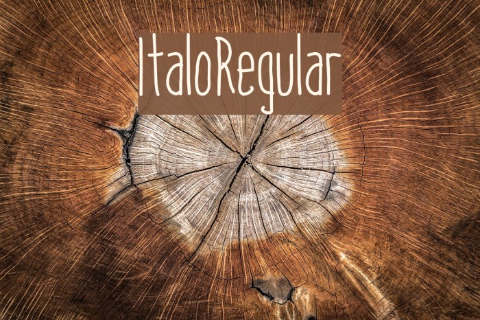 ItaloRegular Font examples