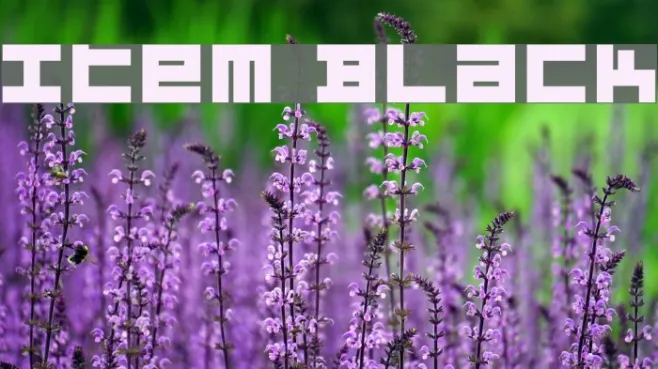 Item Black Example 2