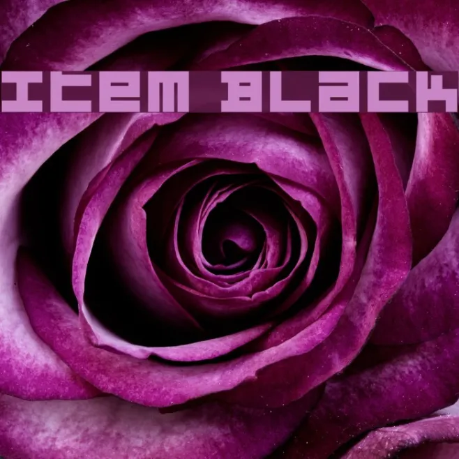 Item Black Example 3