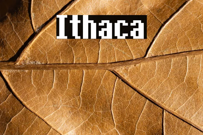 Ithaca Example 1