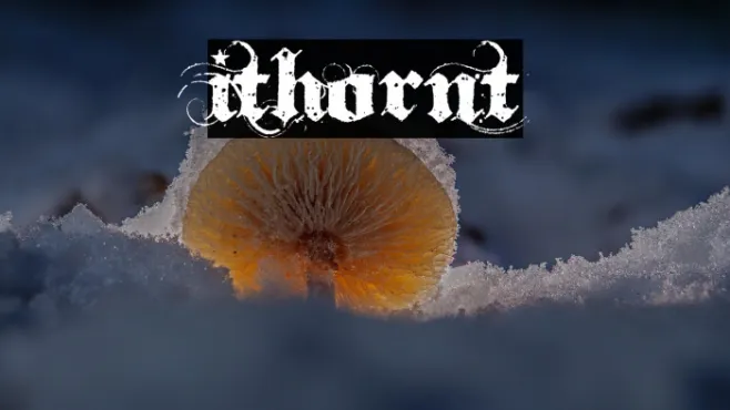 Ithornt Example 1