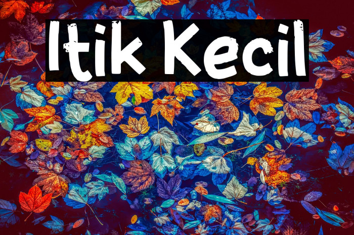 Itik Kecil Example 3