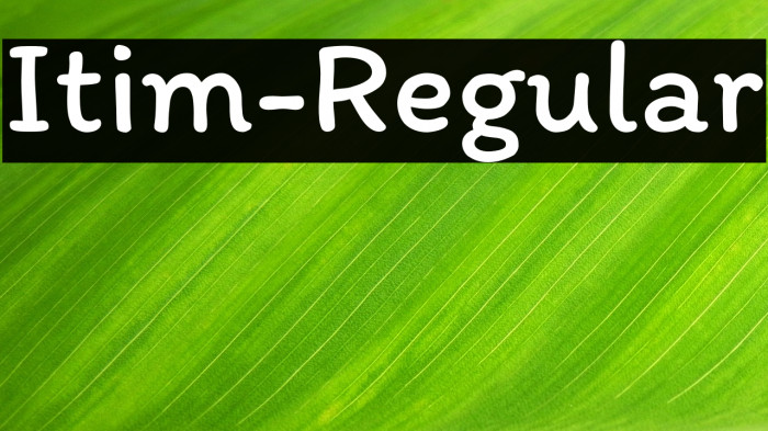 Itim-Regular Example 2