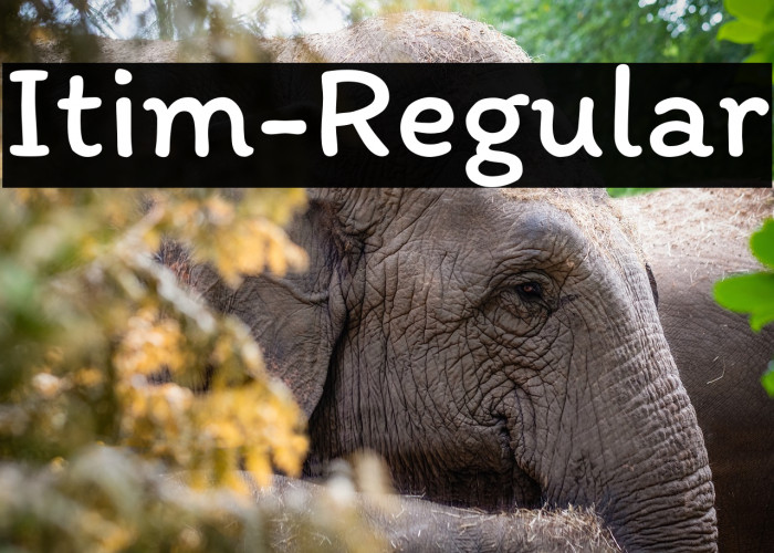 Itim-Regular Example 3