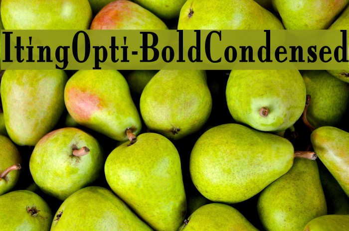 ItingOpti-BoldCondensed Font examples