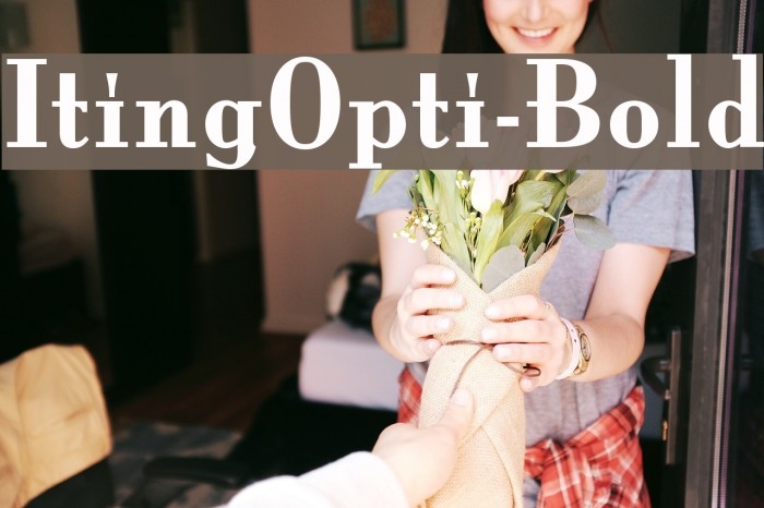 ItingOpti-Bold Font examples