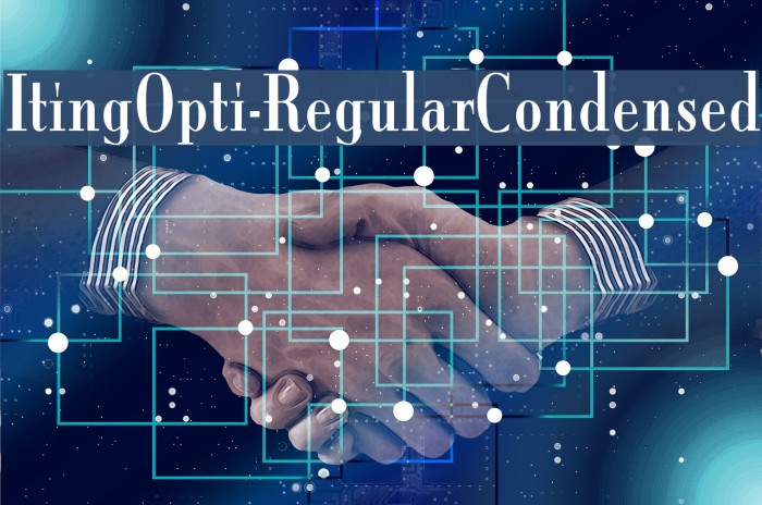 ItingOpti-RegularCondensed Example 2