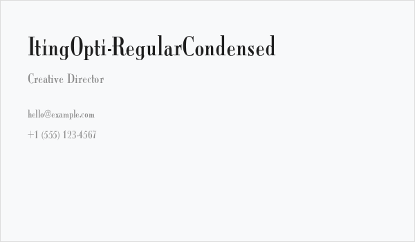 ItingOpti-RegularCondensed Business Card