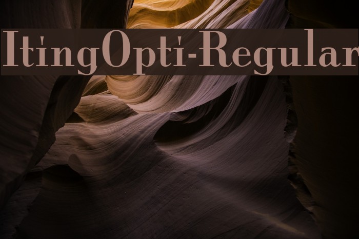 ItingOpti-Regular Example 1