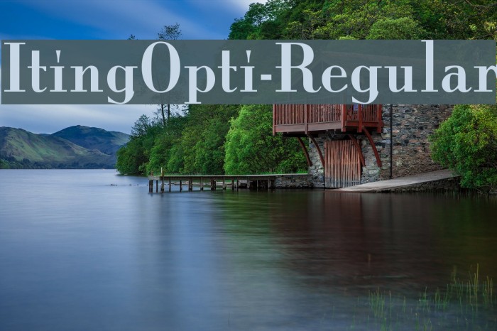 ItingOpti-Regular Example 2