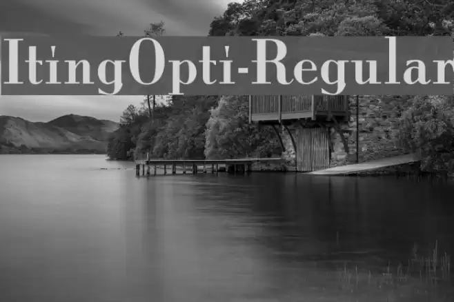 ItingOpti-Regular Font examples