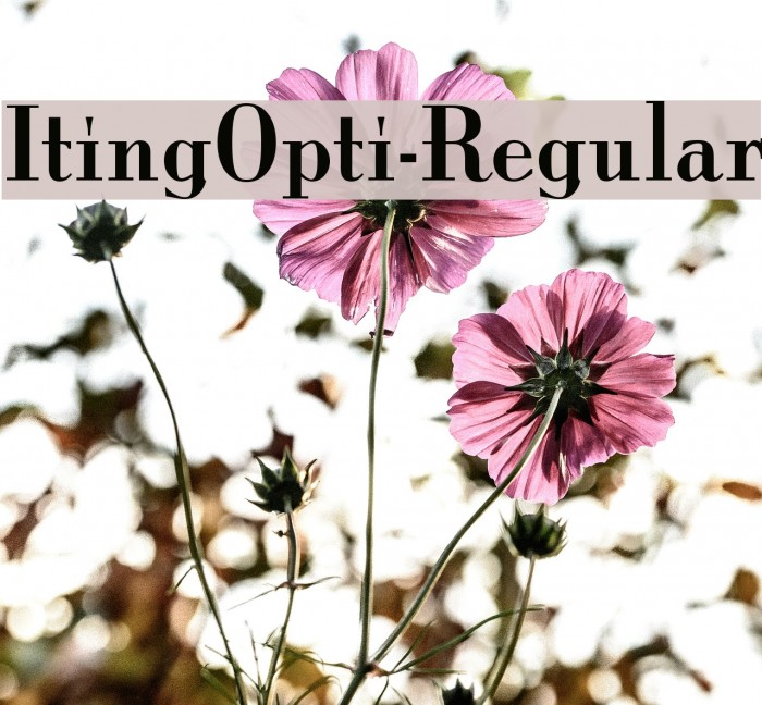 ItingOpti-Regular Example 3