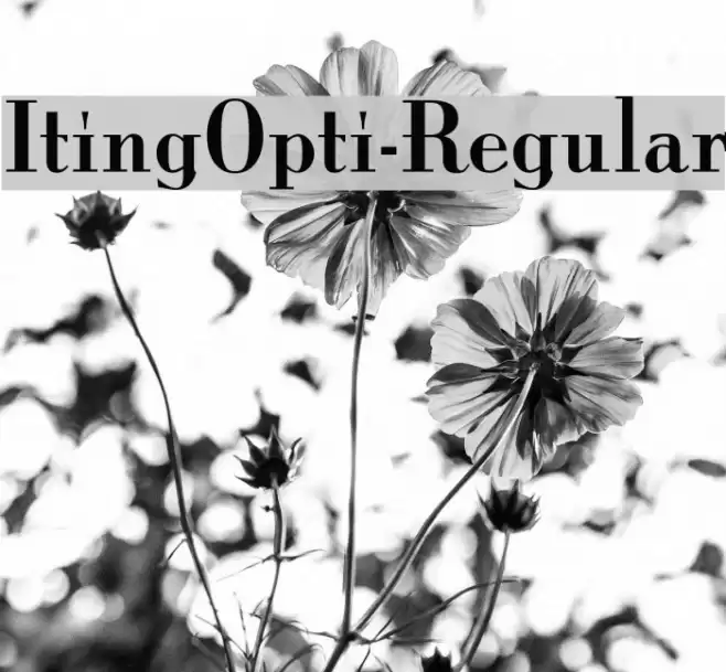 ItingOpti-Regular Font examples