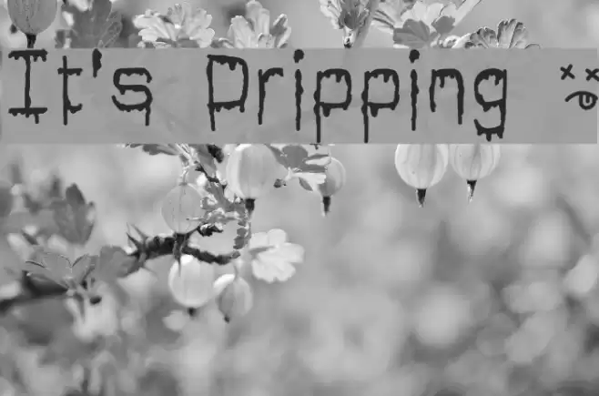 It's Dripping ~ Font examples