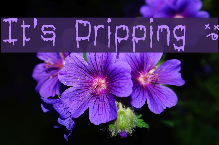 It's Dripping ~ Example 3