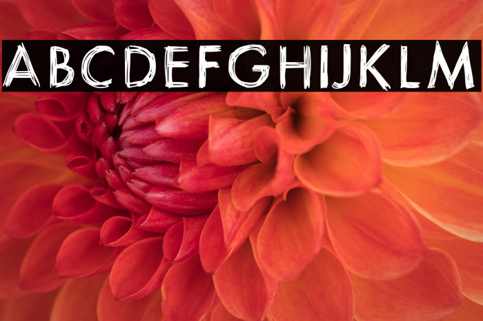 ItsaSketch Example 1