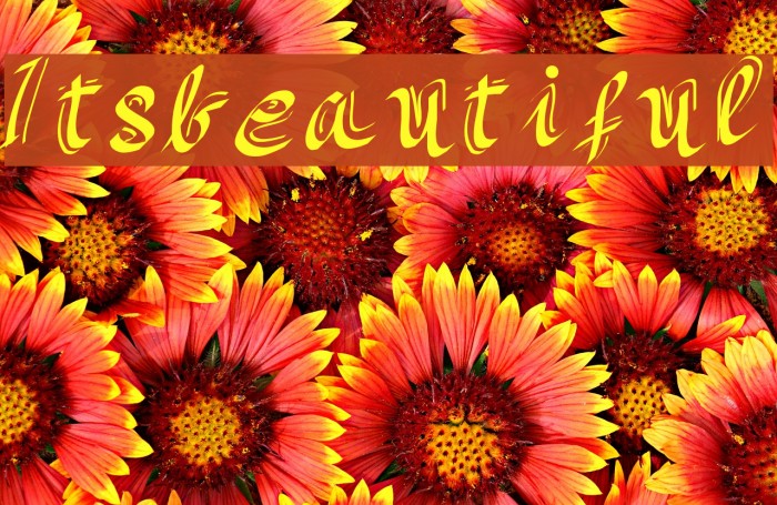 Itsbeautiful Font examples