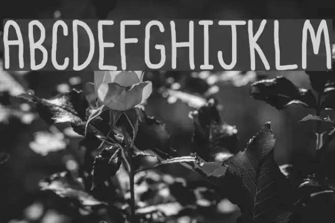 Itty Bitty Notebook Font examples