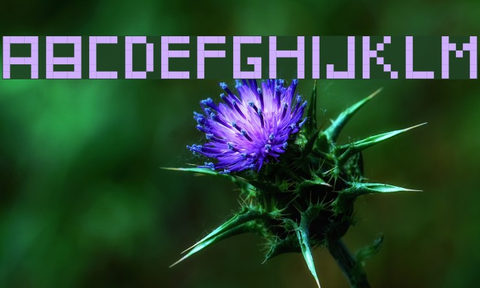 IttyBittyPixel Example 1