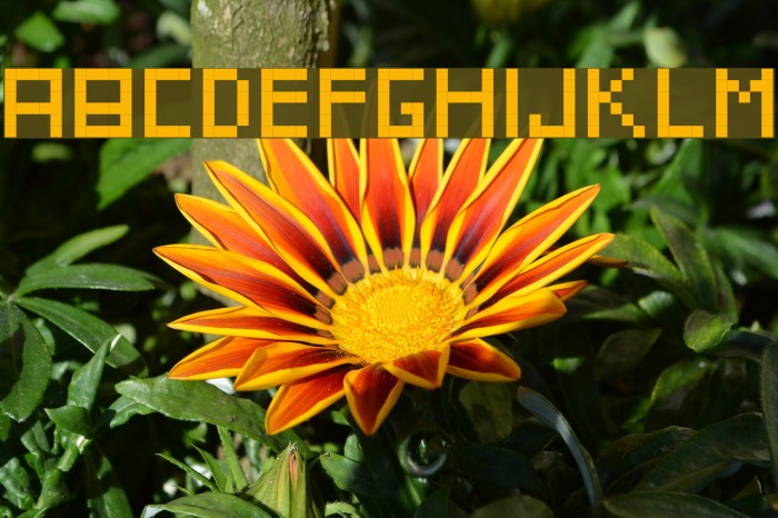 IttyBittyPixel Example 3