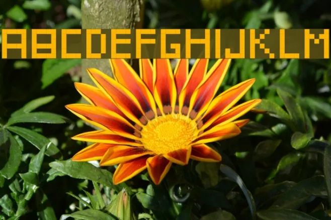 IttyBittyPixel Example 3