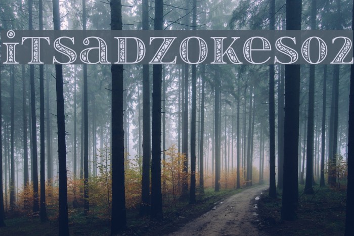 itsadzokeS02 Font examples